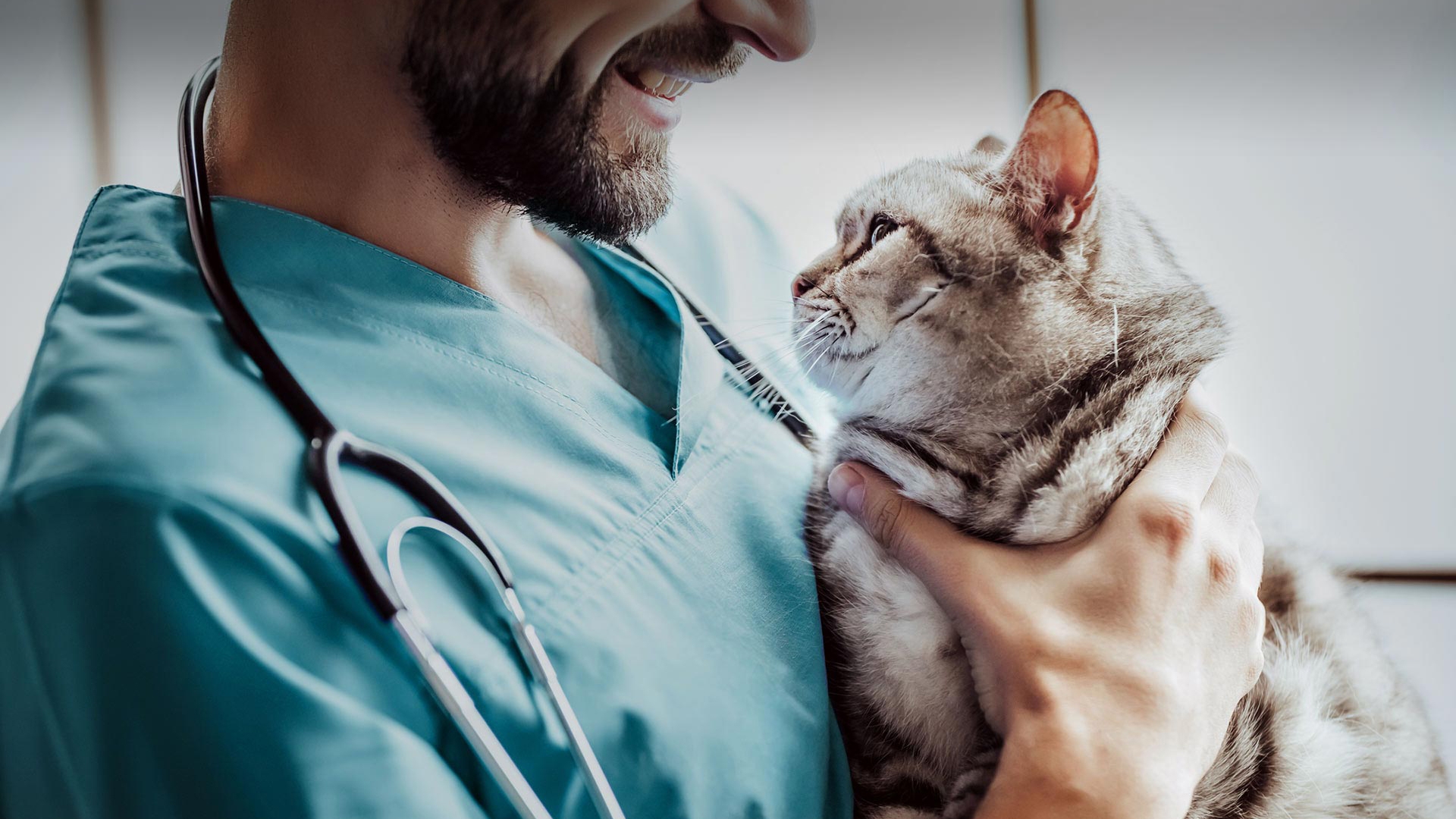 İşçievleri Veteriner